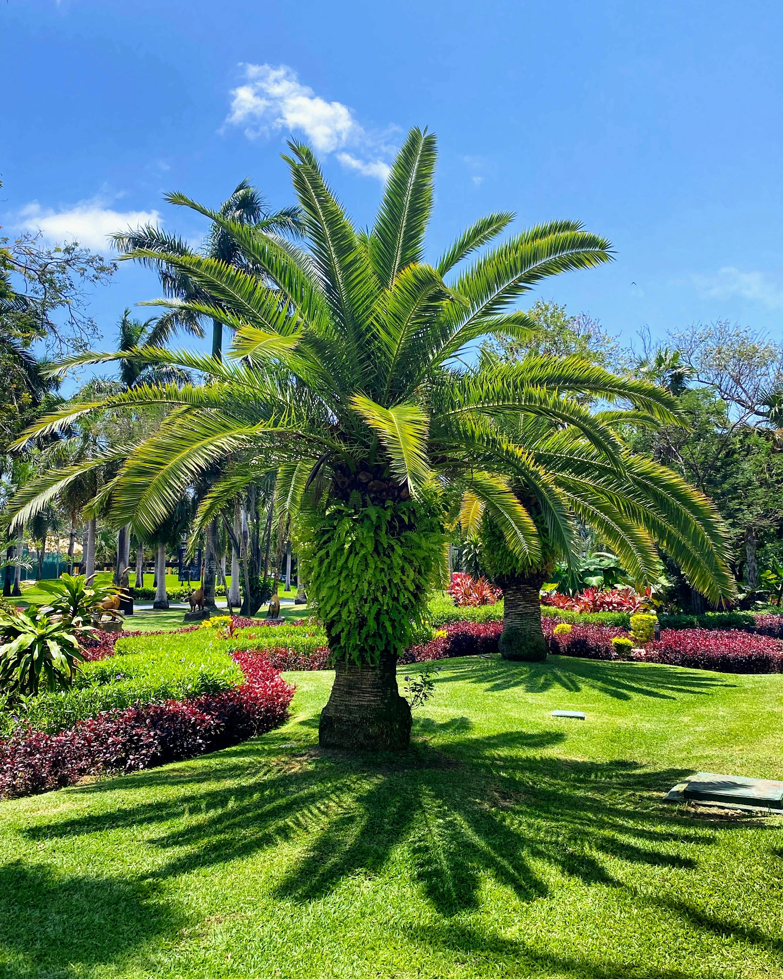 Mantenimiento de jardines